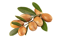argan